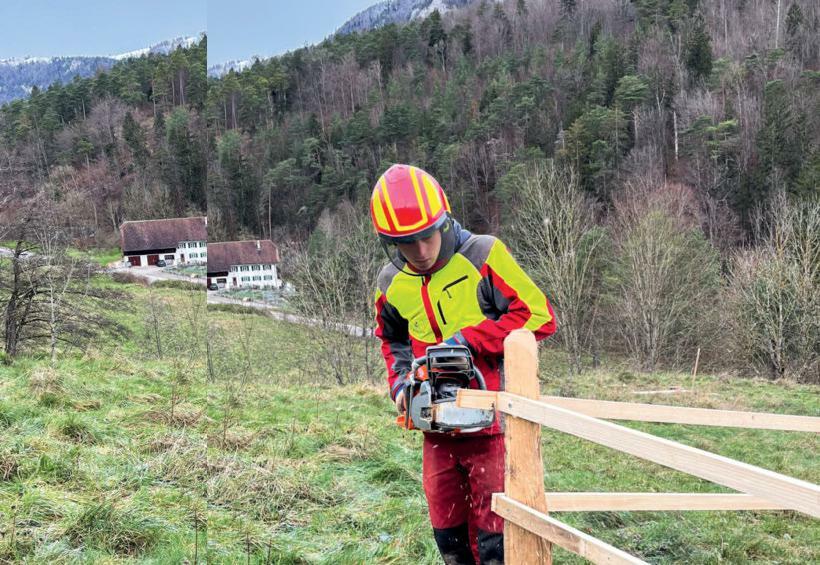 Der angehende Forstwart Elia Brunner baut einen Schutzzaun, um den Jungwuchs vor Tieren zu schützen.