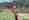 combined_7561315_0_7561316_0.jpg