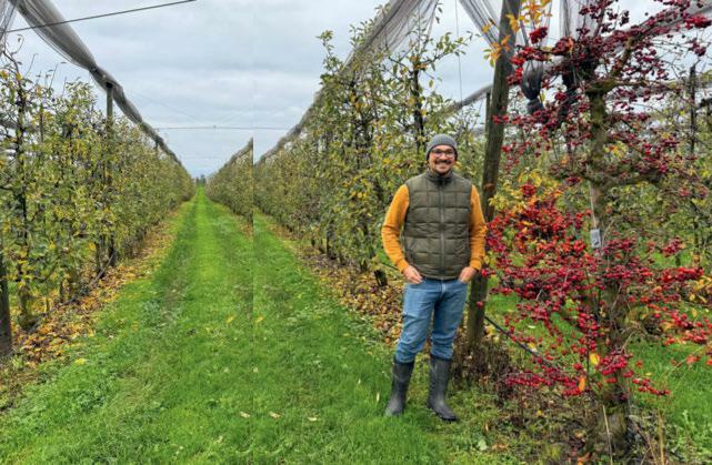 David Stacher inmitten seiner Apfelkulturen im Thurgau. Der junge Betriebsleiter setzt auf nachhaltige Bewirtschaftung und verbindet Bewährtes mit innov...