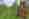 combined_7568322_0_7568323_0.jpg