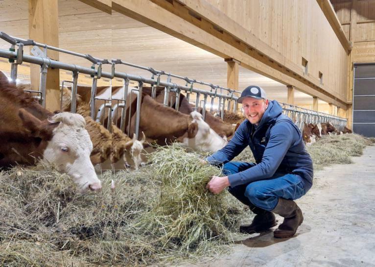 Der neu gebaute Stall erleichtert Betriebsleiter Robin Kohli die Arbeit mit dem Jungvieh.