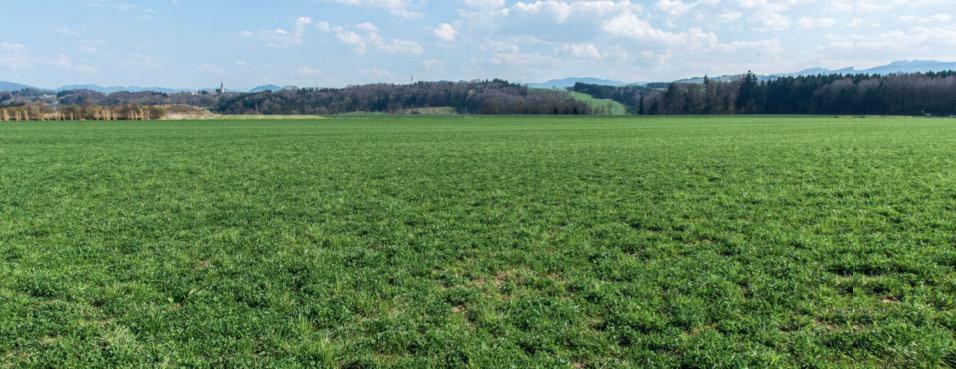 L’état des prairies est le reflet de la gestion.