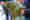 combined_7577982_0_7577983_0.jpg