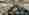 combined_7578014_0_7578015_0.jpg