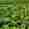 combined_7587829_0_7587830_0.jpg