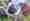 combined_7587944_0_7587945_0.jpg