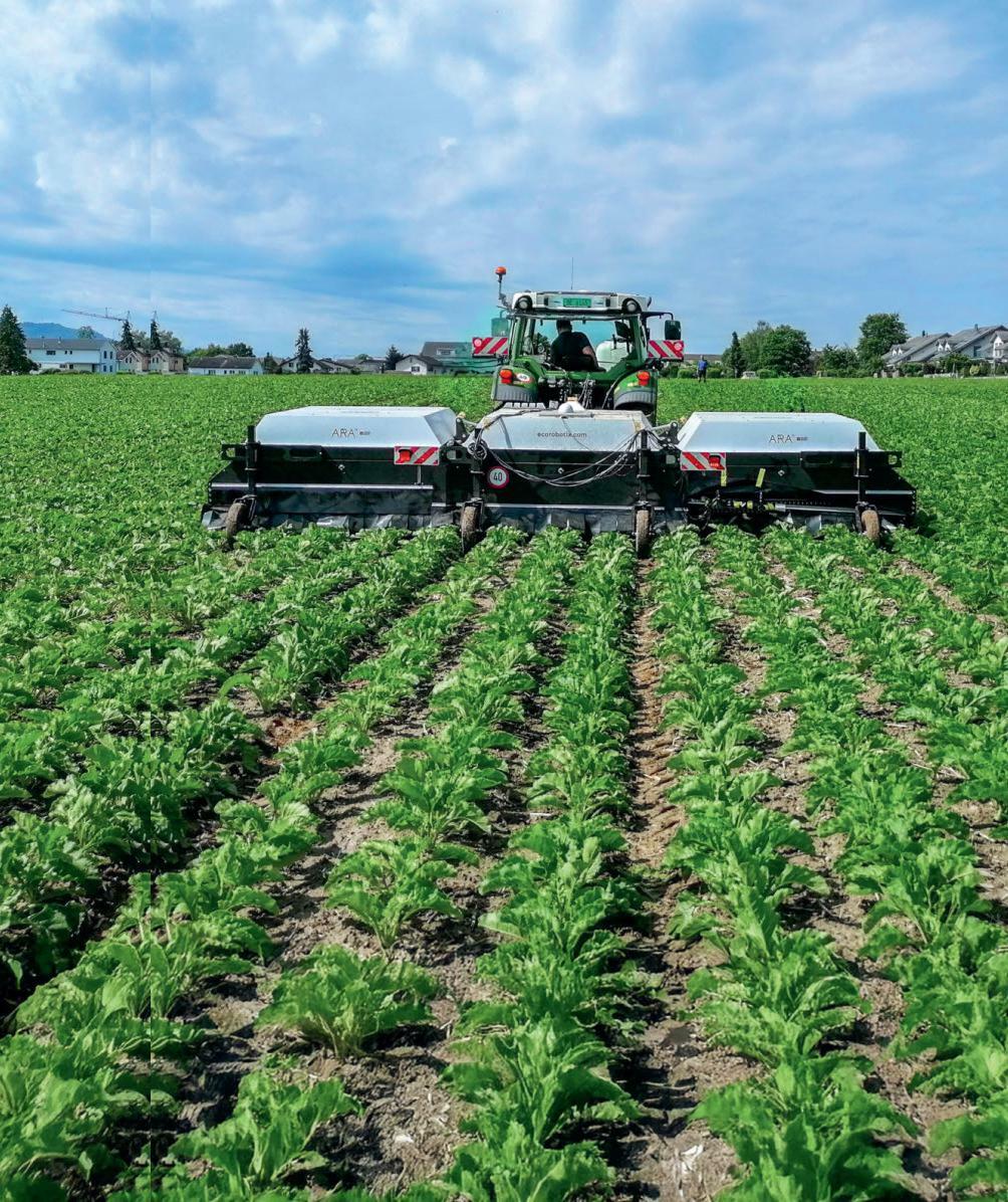Dans la lutte contre les repousses de pommes de terre dans les cultures de betteraves sucrières, le système Ara d’Ecorobotix fait preuve d’une grande ef...