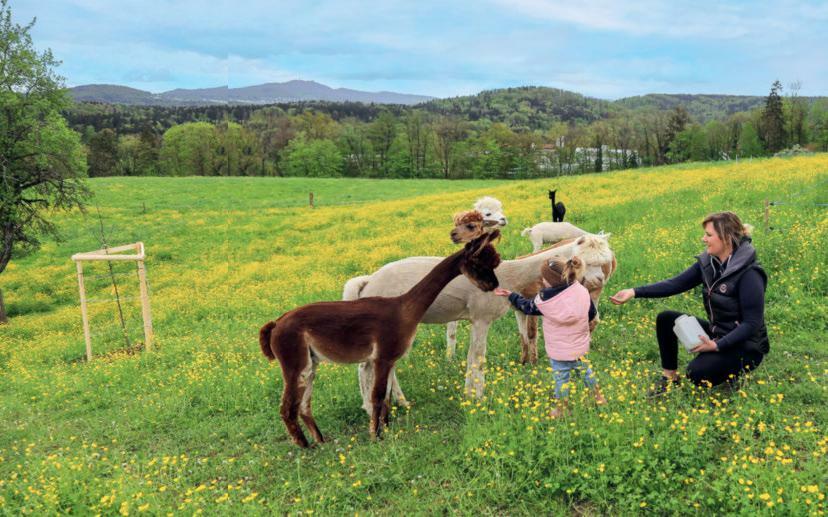 Tanja Schneider, ici accompagnée de sa fille Iva Mathea, vit à la ferme « Im Eichholz » à Bergdietikon. Elle y propose des cours d’équitation ainsi que...