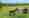 combined_7612090_0_7612091_0.jpg