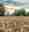 combined_7612117_0_7612118_0.jpg