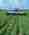 combined_7612123_0_7612124_0.jpg