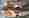 combined_7624259_0_7624260_0.jpg