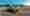 combined_7649163_0_7649164_0.jpg
