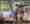 combined_7673225_0_7673226_0.jpg