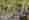 combined_7673626_0_7673627_0.jpg