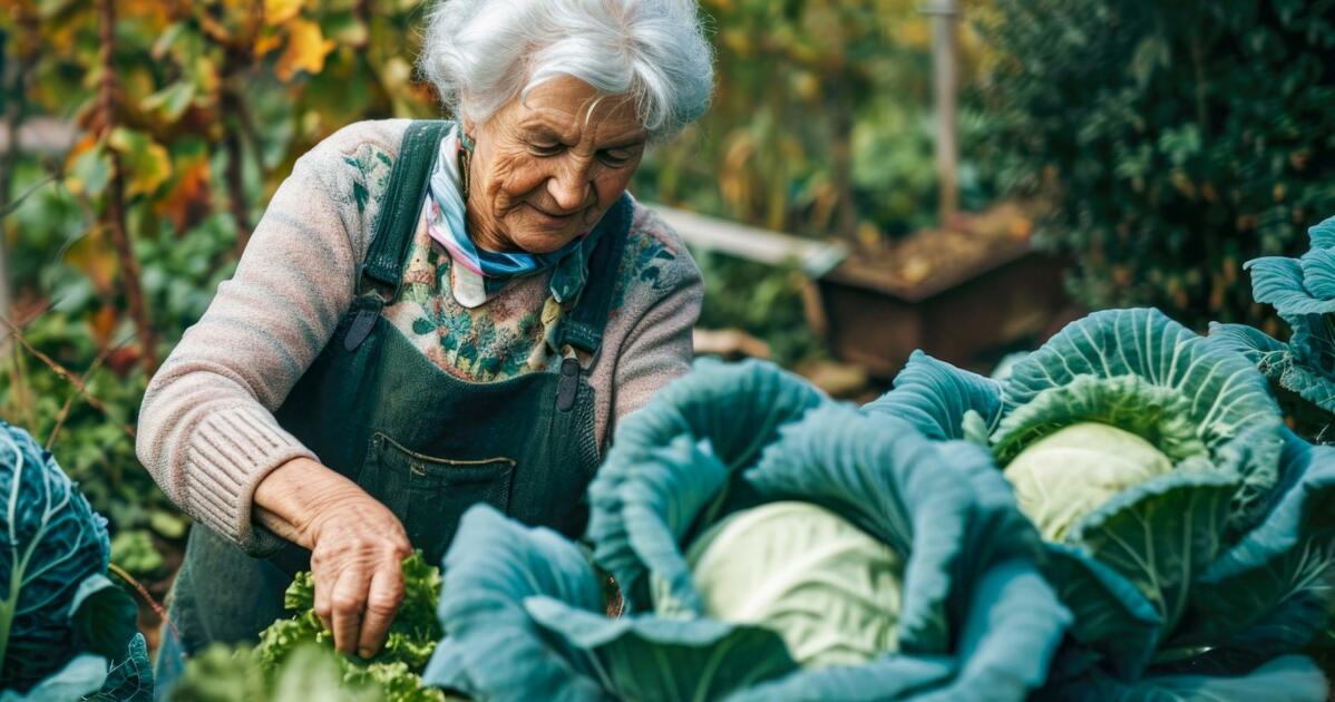 Habiter et participer, tant que c’est possible encore : la solution retenue pour l’habitation après la cession doit satisfaire les deux générations. Ave...