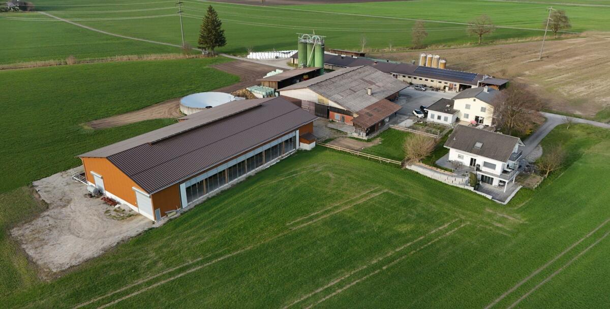 Der Betrieb der Familie Steiger in Büron (LU) zeigt, was ein neuer Milchviehstall bedeutet. Wer effizienter arbeiten will, braucht mehr Kapital, muss In...