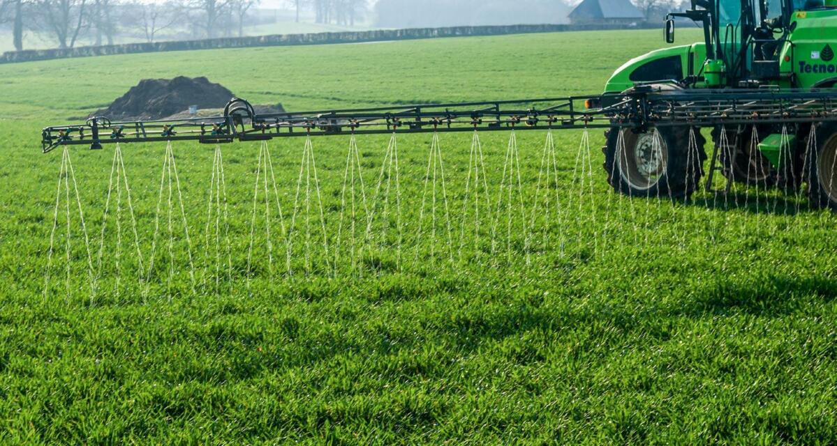 En matière de fertilisation, le moment de l’apport a souvent plus d’impact sur l’efficacité que les derniers ajustements apportés à la dose. 
