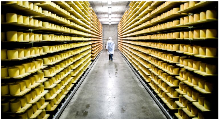 Une part élevée du lait produit en Suisse est exportée.