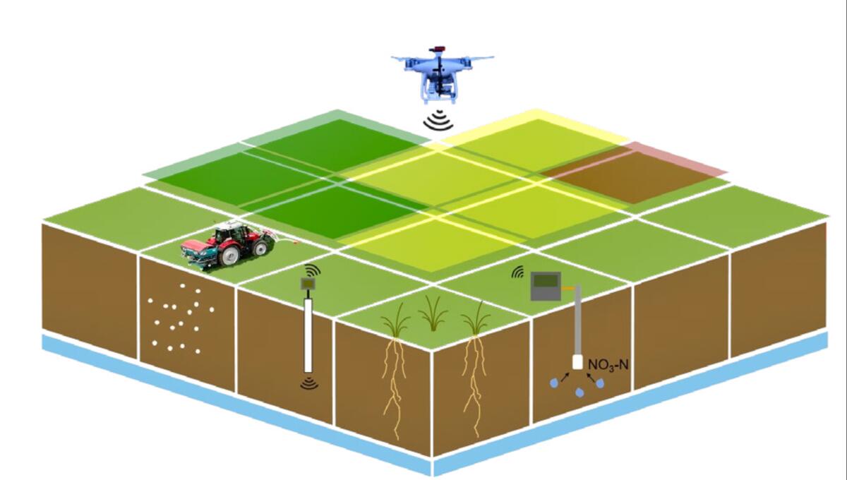 fertilisation spécifique