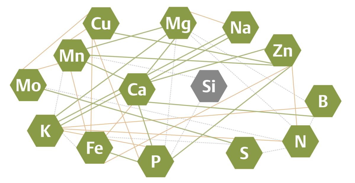 Eléments nutritifs pour les plantes