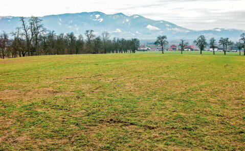 Futterbau: Starthilfe zum Vegetationsbeginn