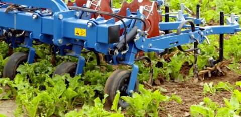 Agrar-Quiz: Mechanische Unkrautbekämpfung