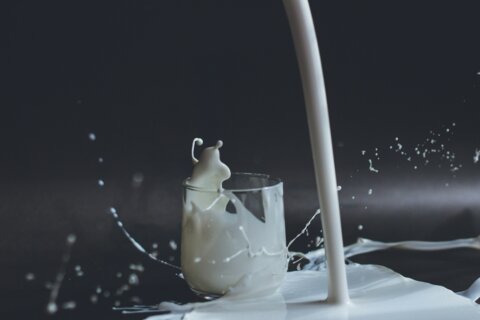 Agrar-Quiz: Milch