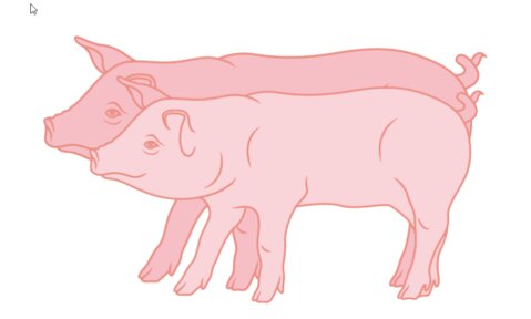 Rentabilité dans la porcherie