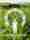 Focus: Gestion d'entreprise