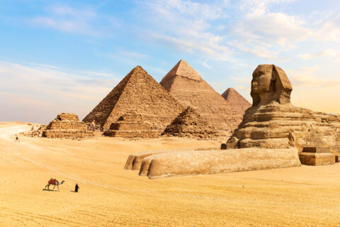 Voyage agricole des lecteurs en Égypte