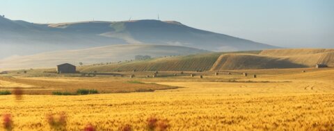 Leserreise nach Apulien