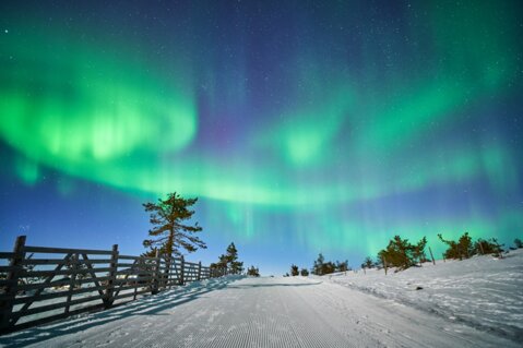 Nordlichter in Finnisch Lappland