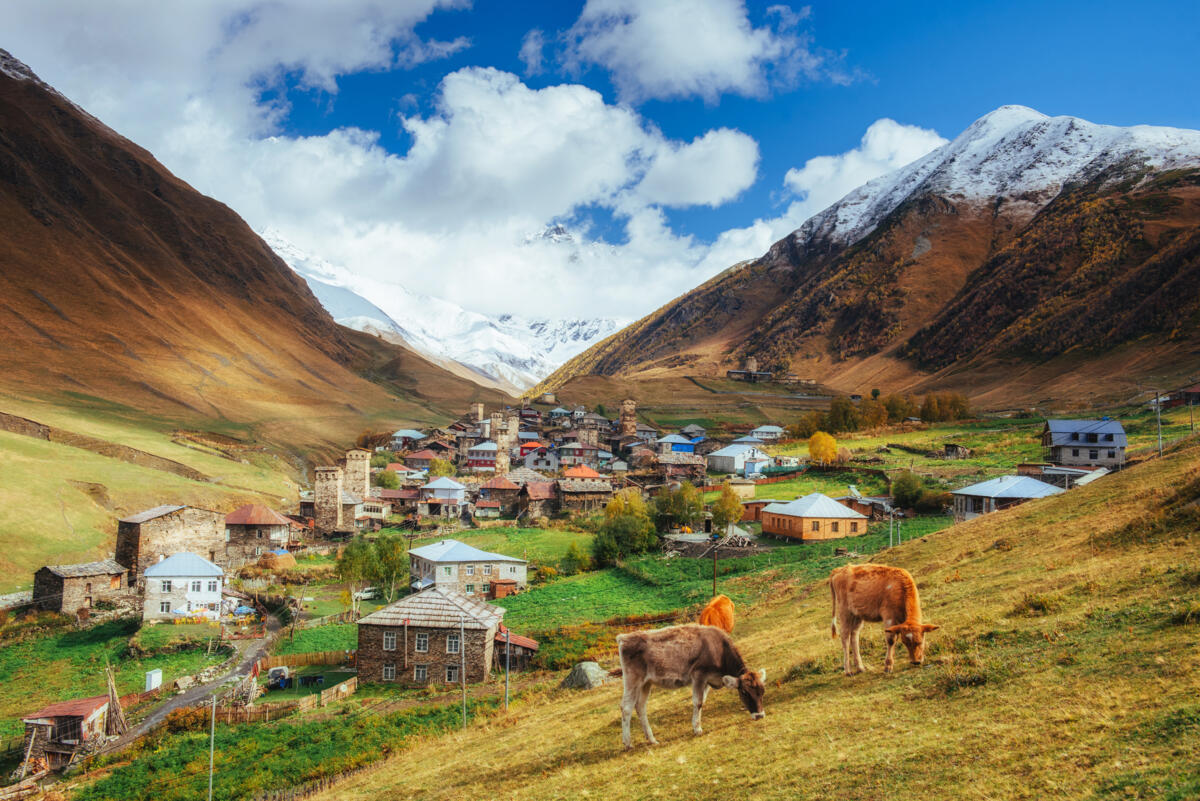 Voyage des lecteurs·trices en Géorgie: Voyage au cœur du Caucase, sur une terre millénaire mêlant traditions agricoles et plaisirs culinaires authentiques 