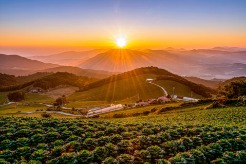 Voyage des lecteurs·trices dans Corée du Sud