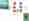 Bundle «Bugs Buddy» + «Insektorama» nur Fr. 49.-