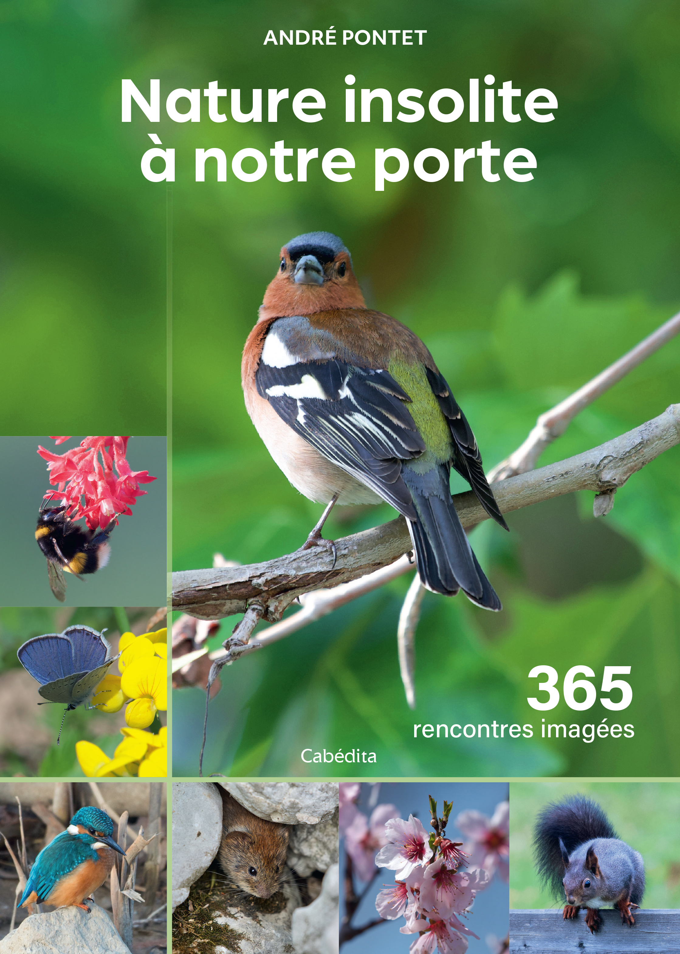 Livre Nature insolite à notre porte : 365 rencontres imagées