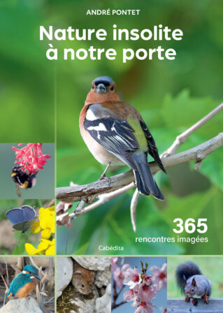 Livre Nature insolite à notre porte : 365 rencontres imagées
