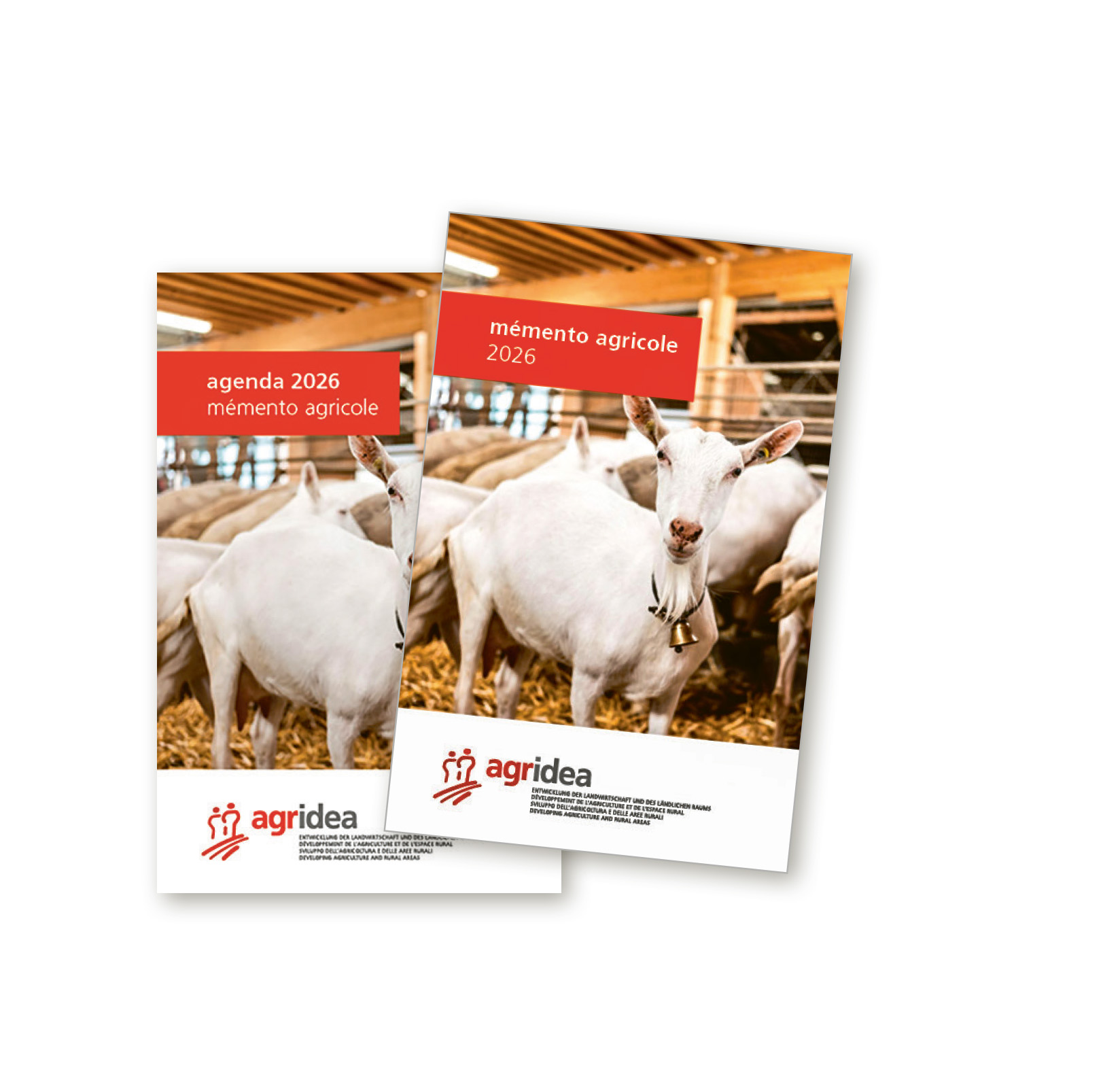 Photo mystère 11/25