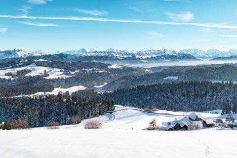 Emmental