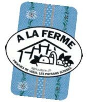 Tirage au sort vie quotidienne